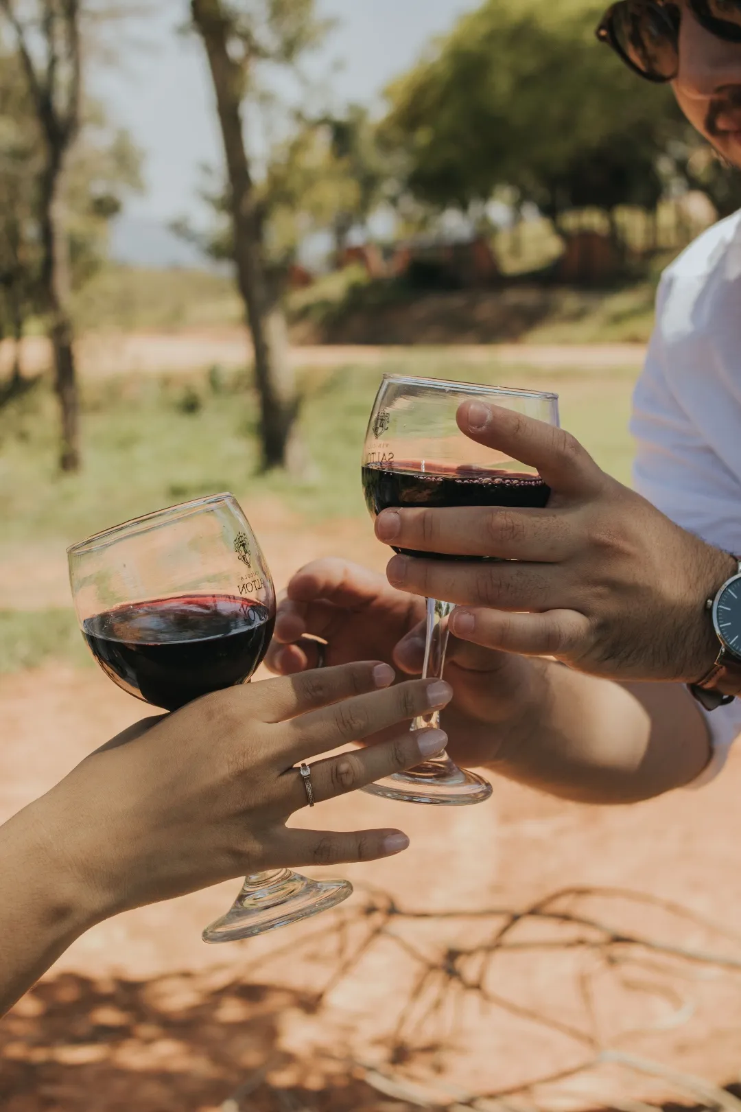 cata-vinos-marrodriguez